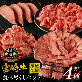 【ふるさと納税】宮崎牛厳選部位食べ尽くしセット 牛肉 肉 お肉 宮崎牛 部位 ミスジ 肩三角 トウガラシ ウデ 牛肩 切り落とし 希少 希少部位 精肉 精肉セット 詰め合わせ セット 焼肉 ステーキ しゃぶしゃぶ すき焼き 国産牛 黒毛和牛 和牛 国産 宮崎県産 宮崎県 宮崎市
