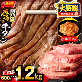 【ふるさと納税】【大感謝祭】【数量・期間限定】【内容量・発送時期が選べる】《訳あり》厚切り 牛タン 塩味 牛肉 肉 お肉 牛 精肉 味付き タン タン塩 塩タン 不揃い 規格外 訳あり品 訳あり返礼品 小分け パック 焼肉 BBQ キャンプ 厚切り牛タン グルメ おつまみ 宮崎市