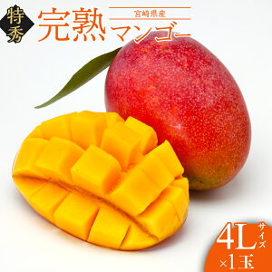 yӂ邳Ɣ[Łzy2026N s\zsʁEԌtnI{}S[ G 4LTCY600g 1ʉϔ| {}S[ t[c ʕ {̉ʕ ʎ Yi   p