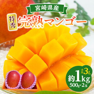 yӂ邳Ɣ[Łzy2026N s\zsʁEԌtnI{}S[ G 3LTCY 2ʉϔ ʕ ʕ t[c n}S[ }S[ i W[V[ R