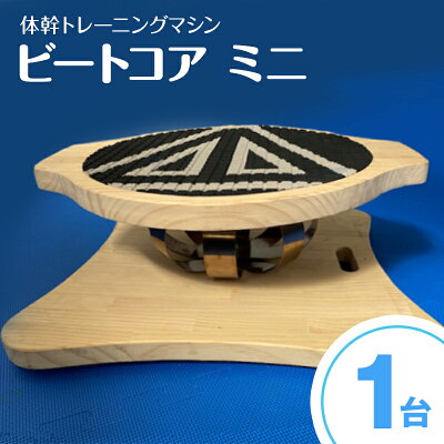 体幹トレーニング ビートコア ミニ