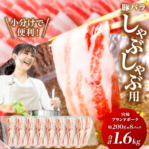 yӂ邳Ɣ[Łz{uh|[N o 2mm XCX Ԃԗp v1.6kg Y {茧Y ؓ   |[N uh|[N uh XCX oXCX  pbN ^