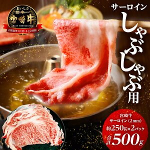 yӂ邳Ɣ[Łz{苍 T[C 2mm XCX Ԃԗp v500g    {茧Y Y uh Y a ؂ Ⓚ  pbN ^pbN ig g 