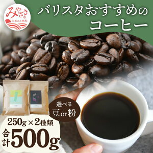 yӂ邳Ɣ[ŁzoX^  R[q[ 250g×2 v500g Iׂ   R[q[Zbg oX^ZNg  t[eB [ RN jYR[q[  [jO H  
