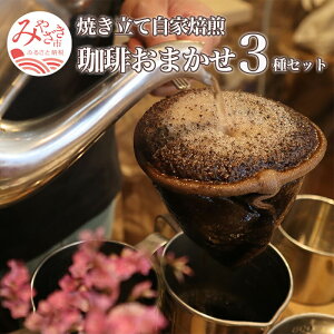 yӂ邳Ɣ[ŁzĂ  蓤 ܂ 3 Zbg R[q[ 蓤 [X^[ X  Nx D] XX yY Mtg 蕨 {茧 {s
