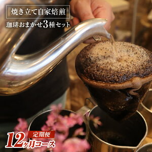 yӂ邳Ɣ[Łz Ă  蓤 ܂ 3ރZbg 12R[X 3 1 v12 蓤 Nx ĂĔ {茧 {s 