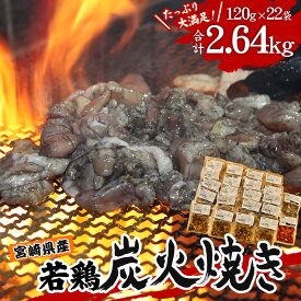 【ふるさと納税】宮崎県産 若鶏 炭火焼 計2.64kg たっぷり22パック 宮崎の名店「宮崎肉魚青木」 柚子胡椒 プロ野球 キャンプシーズン みそ 辛みそ お肉 国産 食品 畜産物 宮崎県 宮崎市 送料無料