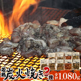 【ふるさと納税】宮崎「宮崎肉魚青木」県産 若鶏 炭火焼き 3種 1.08kg（120g×9袋：しお5みそ2辛みそ2） 柚子胡椒 人気メニュー プロ野球 キャンプシーズン お肉 国産 食品 畜産物 宮崎県 宮崎市 送料無料