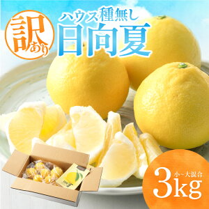 yӂ邳Ɣ[Łzs2026N s\tyʁEԌzy󂠂znEX햳 `卬3kg k k t[c ʕ nEX͔|  TCYs s ʎ ƒp