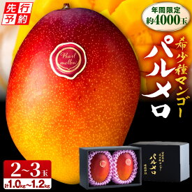 【ふるさと納税】《2026年発送先行予約》【数量・期間限定】宮崎県産 希少種マンゴー パルメロ 計 約1.0kg〜1.2kg 2〜3玉入り 完熟 冷蔵 希少 芳醇 完熟マンゴー 高糖度 農家直送 高品質 オススメ フルーツ 果物 宮崎県 宮崎市 送料無料