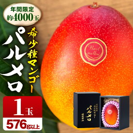 【ふるさと納税】《2026年発送 先行予約》【数量・期間限定】宮崎県産希少種マンゴーパルメロ 計576g以上 1玉入り 果物 フルーツ スイーツ デザート ご褒美 贈り物 贈答 化粧箱 希少 甘み 新鮮 冷蔵 檬栽師組 高糖度 グルメ 宮崎市 送料無料