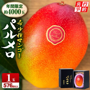 yӂ邳Ɣ[Łzs2026Ns\tyʁEԌz{茧Y󏭎}S[p v576gȏ 1ʓ ʕ t[c XC[c fU[g J 蕨  ϔ  Â VN