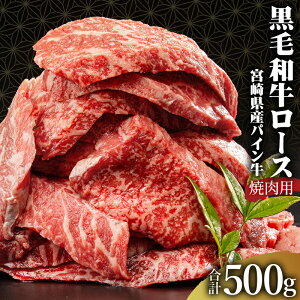 yӂ邳Ɣ[Łz{茧Y јa pC [X ē 500g ēp BBQ AEghA Lv OsO pbN Ⓚ ^pbN XLpbN      Ԑg Ԑg pCi