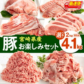 【ふるさと納税】【内容量・発送時期が選べる】宮崎県産豚肉 お楽しみセット ロース バラ モモ とんかつ 切り落とし ミンチ 豚肉 豚 肉 セット 詰め合わせ バラエティ 豚肉セット 豚肉詰め合わせ 普段使い 冷凍 小分け パック ストック 弁当 使い勝手 宮崎県 宮崎市 ふるさと
