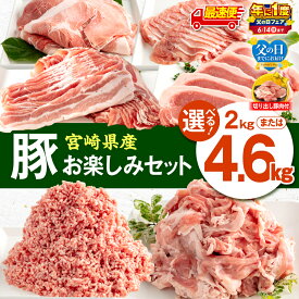 【ふるさと納税】【父の日までにお届け】【年に1度の父の日フェア】【内容量・発送時期が選べる】宮崎県産豚肉 お楽しみセット ロース バラ モモ 切り落とし ミンチ 豚肉 豚 肉 セット 詰め合わせ バラエティ 豚肉セット 普段使い 冷凍 小分け パック