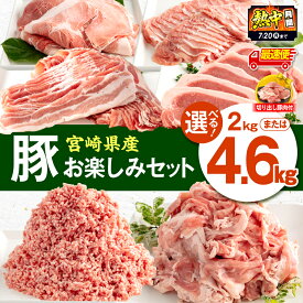 【ふるさと納税】【熱中月間】【内容量・発送時期が選べる】宮崎県産豚肉 お楽しみセット ロース バラ モモ 切り落とし ミンチ 豚肉 豚 肉 セット 詰め合わせ バラエティ 豚肉セット 普段使い 冷凍 小分け パック 切り出し 切り出し豚肉