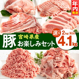【ふるさと納税】【内容量・発送時期が選べる】宮崎県産豚肉 お楽しみセット ロース バラ モモ とんかつ 切り落とし ミンチ 豚肉 豚 肉 セット 詰め合わせ バラエティ 豚肉セット 豚肉詰め合わせ 普段使い 冷凍 小分け パック ストック 備蓄 使い勝手 宮崎県 宮崎市 ふるさと