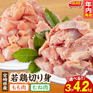 yӂ邳Ɣ[ŁzyeʁEIׂz{茧Y { Eނ ؂g pbN { {ނ {  Hi W[V[ wV[ g `L g T_`L 