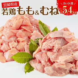 【ふるさと納税】宮崎県産 若鶏 もも むね 切り身 小分け パック 合計5.4kg 鶏もも 鶏むね 鶏肉 ヘルシー ジューシー 唐揚げ チキン南蛮 揚げ物 サラダチキン 棒棒鶏 冷凍 宮崎県 宮崎市 送料無料