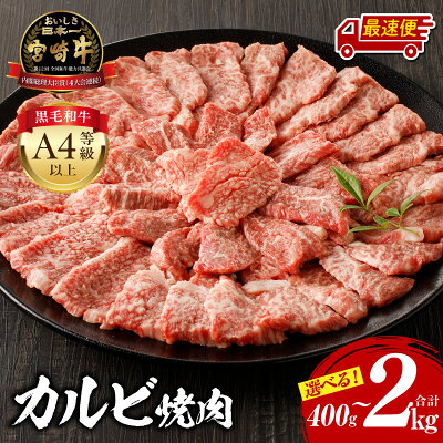 宮崎牛 カルビ焼肉
