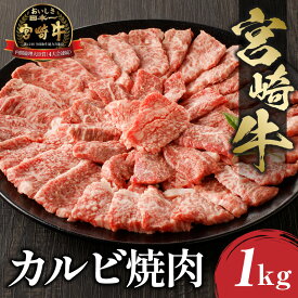 【ふるさと納税】宮崎牛 カルビ焼肉 (500g×2) 合計1kg 和牛オリンピック 内閣総理大臣賞 4大会連続受賞 焼肉 バーベキュー 脂 赤身 お肉 国産牛 食品 畜産物 宮崎県 宮崎市 送料無料