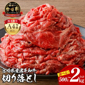 【ふるさと納税】《内容量が選べる》 宮崎牛 切り落とし 500g〜2kg スライス カレー ハヤシライス 肉野菜炒め 牛丼 国産牛 黒毛和牛 和牛 国産 宮崎県産 肉 お肉 牛肉 切り落とし牛肉 小分け パック 便利 料理 BBQ 宮崎県 宮崎市 選べる内容量