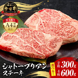 【ふるさと納税】《容量が選べる》宮崎牛 シャトーブリアンステーキ シャトーブリアン ステーキ 焼肉 肉 牛肉 精肉 ヒレ肉 赤身肉 人気 4等級以上 A4 贈り物 ギフト 贈答用 贈答 プレゼント ご褒美 お祝い 記念日 ディナー お祝い 内祝い 冷凍 宮崎市 送料無料