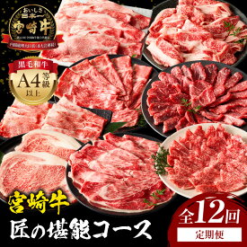 【ふるさと納税】【定期便全12回】宮崎牛 匠の堪能コース 肉 牛肉 お肉 宮崎牛 定期便 セット 詰め合わせ 牛肉セット 食べ比べ 切り落とし 赤身 しゃぶしゃぶ ロース カルビ 焼肉 ステーキ スライス 国産 国産牛 黒毛和牛 和牛 4等級以上 ブランド 12回 宮崎県 宮崎市