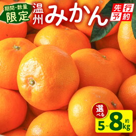 【ふるさと納税】 《2025年発送先行予約》【選べる内容量】【数量・期間限定】温州みかん(傷み補償分200g付き) 5kg 8kg みかん 果物 果実 果肉 果汁 フルーツ スイーツ デザート 青果 青果物 柑橘 柑橘類 おすすめ グルメ お取り寄せ ネイバーフッド 宮崎県 宮崎市 送料無料