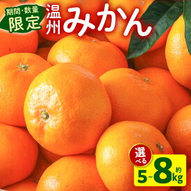 【ふるさと納税】 《2025年～2026年発送》【数量・期間限定】【選べる内容量】温州みかん(傷み補償分200g付き) 5kg 8kg みかん 果物 果実 果肉 果汁 フルーツ スイーツ デザート 青果 青果物 柑橘 柑橘類 おすすめ グルメ お取り寄せ ネイバーフッド 宮崎県 宮崎市 送料無料