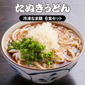 【ふるさと納税】 大盛うどん たぬきうどん 冷凍なま麺6食セット 冷凍なま麺 140g×6 つゆ 200cc×6 揚げ玉 17g×6 うどん 冷凍うどん うどん麺 麺 麺類 なま麺 食品 簡単調理 ご当地グルメ ご当地返礼品 名物 グルメ お取り寄せ おすすめ 人気 宮崎県 宮崎市 送料無料