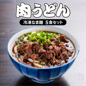 【ふるさと納税】 大盛うどん 肉うどん 冷凍なま麺5食セット 冷凍なま麺 140g×5 つゆ 200cc×5 味付け牛肉 70g×5 伝統の味 甘い出汁 イリコ 濃厚 ふっくら 柔らかい麺 すき焼き風の味付け肉 宮崎県 宮崎市 送料無料