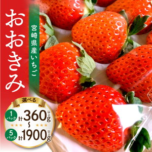 yӂ邳Ɣ[ŁzyIׂeʁzs2026N s\tyʁEԌz{茧YC`Su݁v Xgx[ 傫 Â 嗱 嗱 x ʕ t[c ʓ X