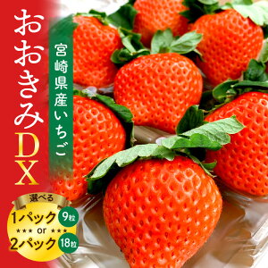 yӂ邳Ɣ[ŁzyIׂeʁzs2026N s\tyʁEԌz{茧Y C`SuDXv Xgx[ 傫 Â 嗱 嗱 x ʕ t[c ʓ 