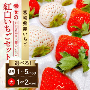 yӂ邳Ɣ[ŁzyIׂeʁE傫zs2026N s\tyʁEԌz{茧Y C`S K̍gZbg &Vĝ  Xgx[ 傫 Â 