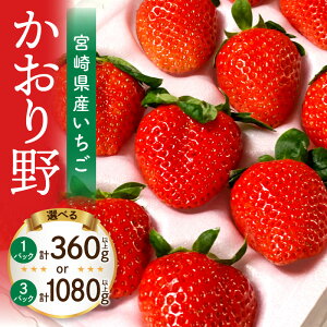 yӂ邳Ɣ[ŁzyIׂeʁzs2026N s\tyʁEԌz{茧YC`Suv Xgx[ ʕ t[c ʓ XC[c fU[g 蕨  v[