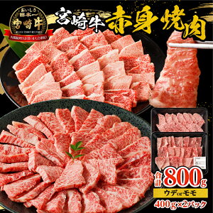 yӂ邳Ɣ[Łz{苍Ԑgē v800g Efor {苍     Ԑg Ԑg ^pN ē ēp lē pbN  Ⓚ g ig  蕨 Mtg v[