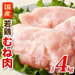 yӂ邳Ɣ[ŁzYǂނ˓4kg {茧Y {  { {ނ l { Y ς wV[ W[V[  ܂  ig AW X[v ύ  