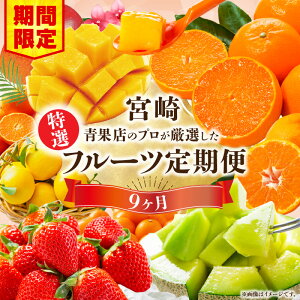 yӂ邳Ɣ[ŁzyԁEʌzII{̃t[c9vol.1 t[c ʕ   {̃t[c {̉ʕ ʕ t[c { I   Ƃ  