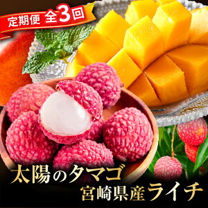 �y�ӂ邳�Ɣ[�Łz �s2026�N���� ��s�\��t�y���ʁE���Ԍ���z�y�S3��z���z�̃^�}�S�E���C�`����� �}���S�[ ���n�}���S�[ �u�����h ���C�` ����� �Z�b�g �f�U�[�g �X�C�[�c ����� �ʕ� 