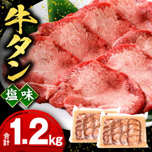 yӂ邳Ɣ[Łz^1.2kg ^  t ^  ؂ ؂苍^ ^ Ă ȒP  ē BBQ AEghA Lv OsO pbN  ig g