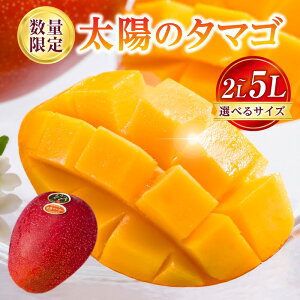 yӂ邳Ɣ[ŁzyIׂTCYzs2026Ns\tyʁEԌzz̃^}S }S[ n}S[ n ʕ t[c 蕨 Mtg v[g   Ă