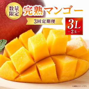 yӂ邳Ɣ[Łzs2026N s\tyʁEԌz3 3L2ʊn}S[R[X }S[ n}S[ n  ʕ t[c 蕨 Mtg v[g  