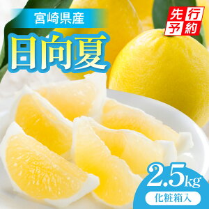 yӂ邳Ɣ[Łzs2026Ns\tyԁEʌz{茧Y2.5kg ϔ ʕ t[c ʎ ʕ NHi k k fU[g XC[c ϔ  p v[