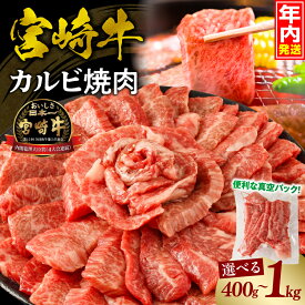 【ふるさと納税】【選べる内容量・発送時期】宮崎牛 カルビ(バラ) 焼肉 牛肉 肉 お肉 精肉 カルビ焼肉 バラ肉 国産牛 和牛 ブランド牛 黒毛和牛 和牛 牛 BBQ アウトドア キャンプ 小分け パック 冷凍 真空パック 使い勝手 便利 宮崎市 送料無料