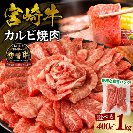 【ふるさと納税】【選べる内容量・発送時期】宮崎牛 カルビ(バラ) 焼肉 牛肉 肉 お肉 精肉 カルビ焼肉 バラ肉 国産牛 和牛 ブランド牛 黒毛和牛 和牛 牛 BBQ アウトドア キャンプ 小分け パック 冷凍 真空パック 使い勝手 便利 宮崎市 送料無料