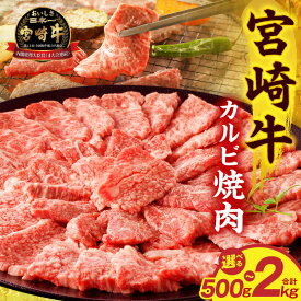 【ふるさと納税】【選べる内容量】宮崎牛カルビ焼肉 カルビ 牛カルビ 肉 牛肉 お肉 精肉 牛 国産牛 ブランド牛 黒毛和牛 和牛 国産 宮崎県産 小分け パック 冷凍 贈答 贈り物 ギフト お歳暮 グルメ お取り寄せ 人気 おすすめ 焼肉 BBQ アウトドア キャンプ 宮崎 宮崎市