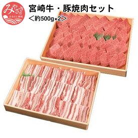 【ふるさと納税】宮崎牛・豚焼肉セット＜約500g×2＞