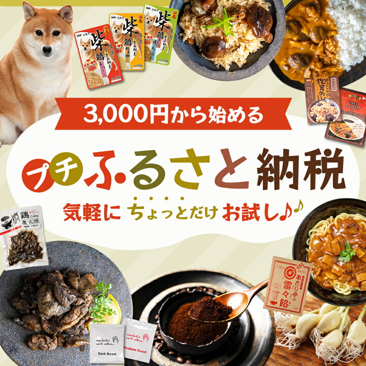 楽天市場】【ふるさと納税】【お試し♪】トプカ☆宮崎牛カレー2食 