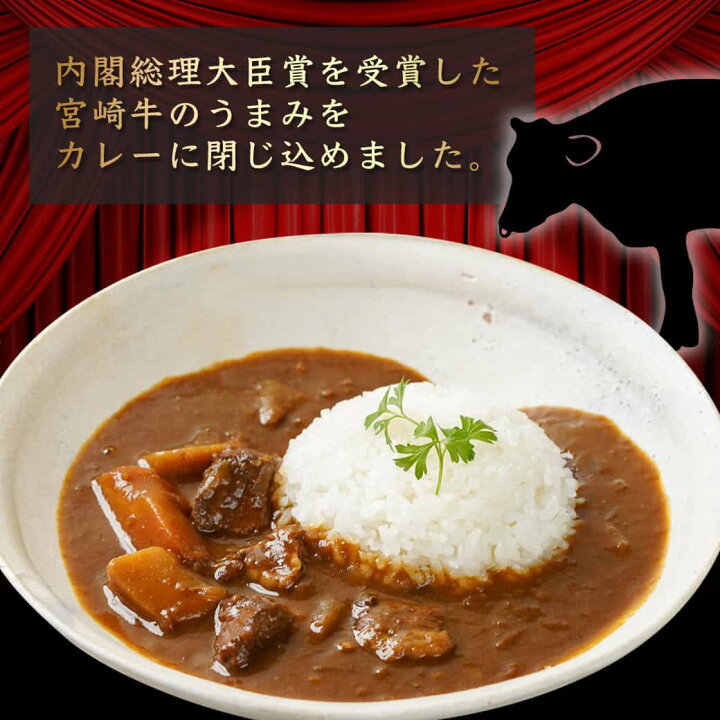 楽天市場】【ふるさと納税】【お試し♪】トプカ☆宮崎牛カレー2食 